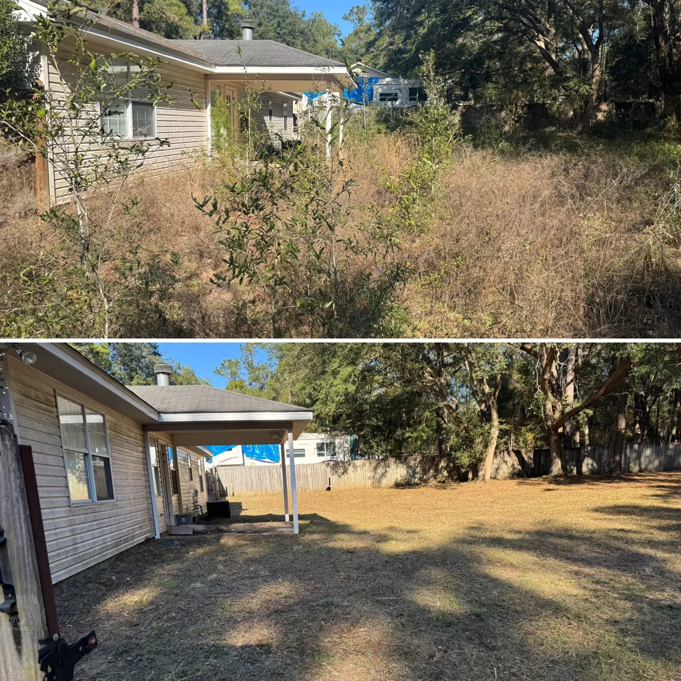Before and after: tall overgrowth beside a house cut back and cleared