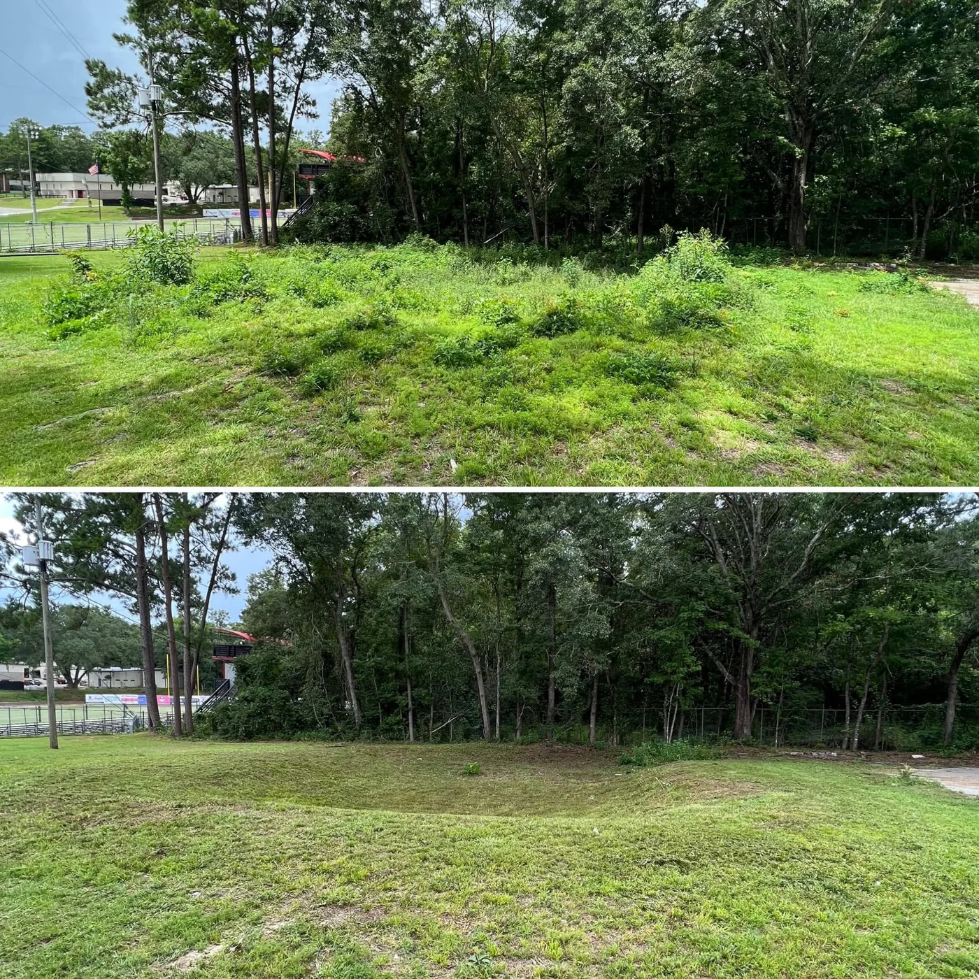 Before and after: overgrown weedy lot mowed down and cleaned up