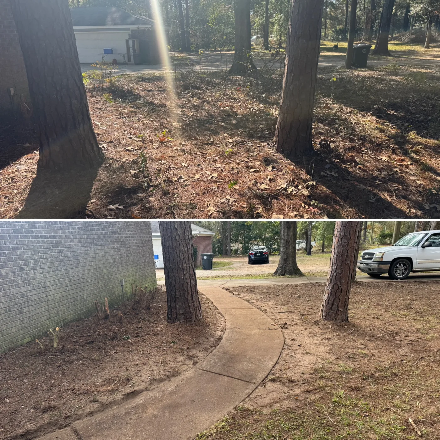 Before and after: leaf-covered wooded yard and walkway cleared