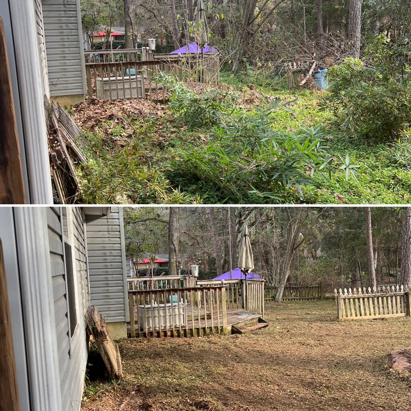 Before and after: overgrown, cluttered backyard cleaned up and cleared