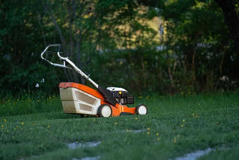 Lawn mower on a freshly cut backyard lawn
