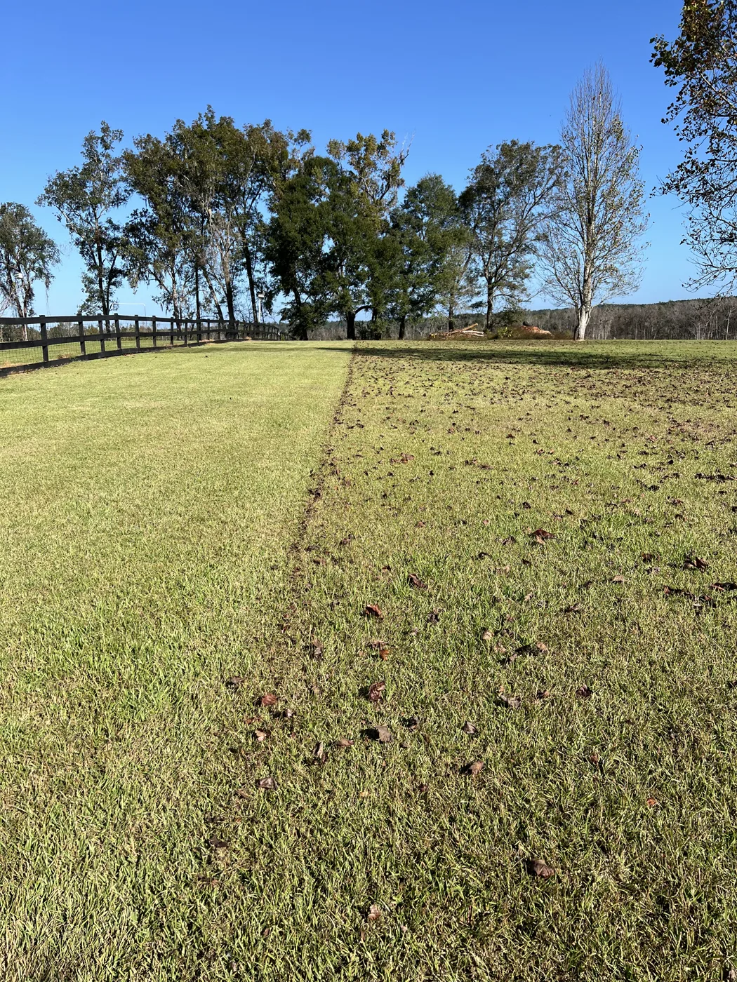 Freshly mowed field with clean stripes and a tree line under blue sky