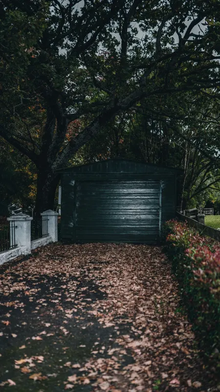 Fallen leaves covering a residential driveway